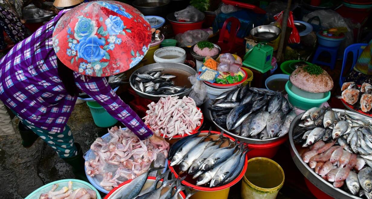 Avontuurlijke Mekongcruise Vietnam & Cambodja: kennismaking met de koninkrijken van Indochina - VietnamZondag: In Sa Dec naar de kerk